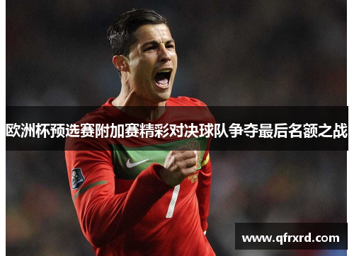 欧洲杯预选赛附加赛精彩对决球队争夺最后名额之战
