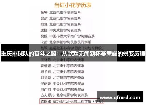 重庆排球队的奋斗之路：从默默无闻到杯赛荣耀的蜕变历程